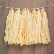 Load image into Gallery viewer, Pastel Tissue Paper Tassel (4 Colors)