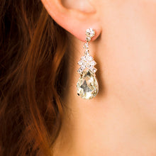 Load image into Gallery viewer, High Fashion Earrings