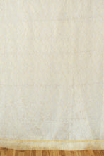 Load image into Gallery viewer, 58 x 120 in. Sheer Waves Backdrop (4 Colors)
