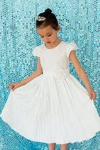 Load image into Gallery viewer, 10 x 10 ft. Sheer Sequin Backdrop Draping (4 Colors)
