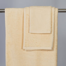 Load image into Gallery viewer, Beige Terrycloth Hand Towels 2/Pack
