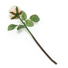 Load image into Gallery viewer, 17 in. Blush Peach Silk Rose

